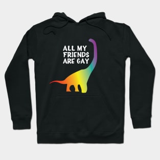 All my friends are gay Hoodie